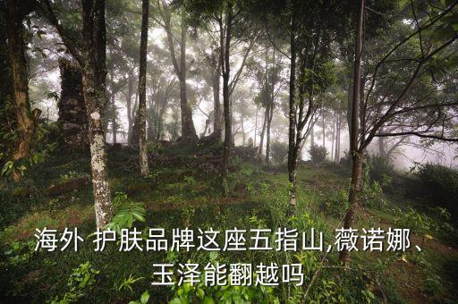 海外 護(hù)膚品牌這座五指山,薇諾娜、玉澤能翻越嗎
