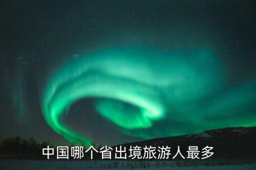 2013年中國(guó)境外消費(fèi),中國(guó)境外消費(fèi)總額