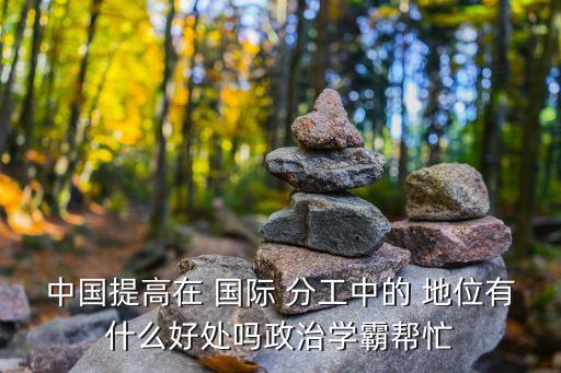 中國提高在 國際 分工中的 地位有什么好處嗎政治學(xué)霸幫忙