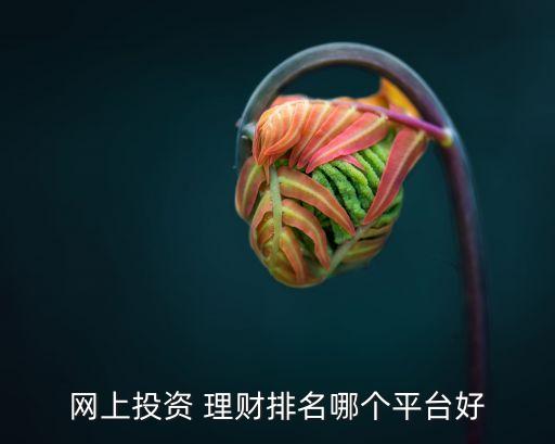 紅豆理財是哪個公司