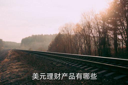  美元理財(cái)產(chǎn)品有哪些