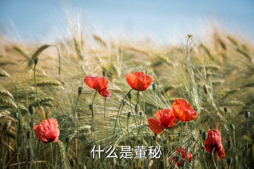 什么是董秘