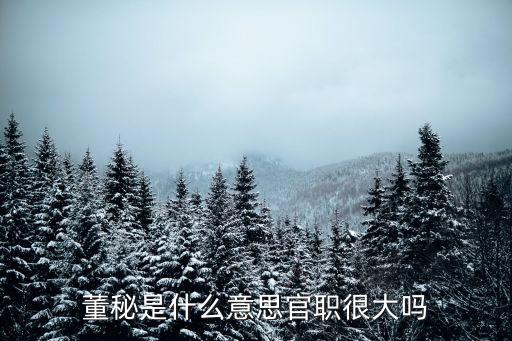 董秘是什么意思官職很大嗎