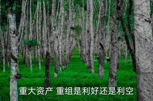 重大資產(chǎn) 重組是利好還是利空