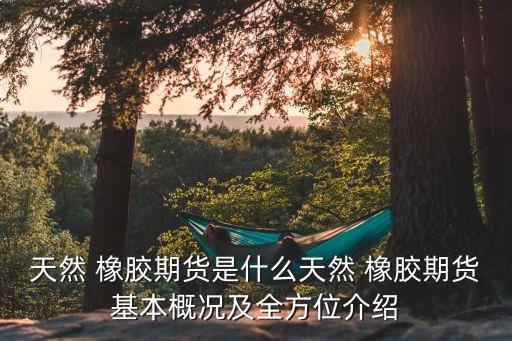 中國(guó)橡膠關(guān)稅高,進(jìn)口橡膠關(guān)稅2023