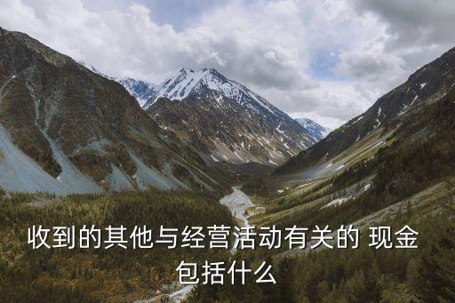 收到的其他與經(jīng)營活動有關(guān)的 現(xiàn)金 包括什么