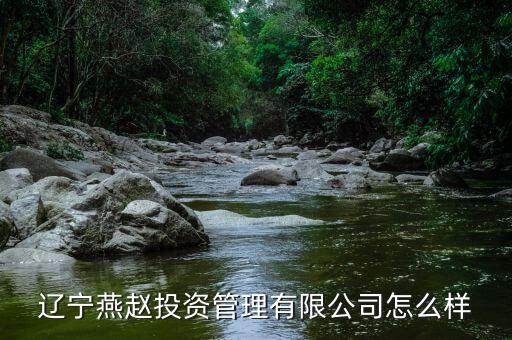 沈陽中德高端裝備產(chǎn)業(yè)園公司,中德沈陽高端裝備制造創(chuàng)新委員會