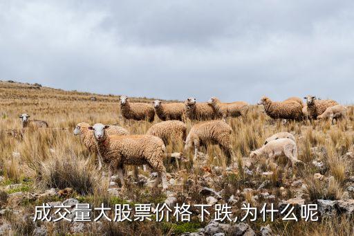 成交量大股票價格下跌,為什么呢