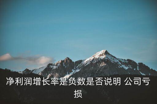 凈利潤(rùn)增長(zhǎng)率是負(fù)數(shù)是否說(shuō)明 公司虧損