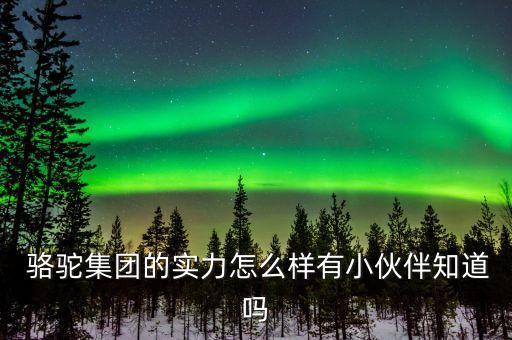  駱駝集團(tuán)的實(shí)力怎么樣有小伙伴知道嗎