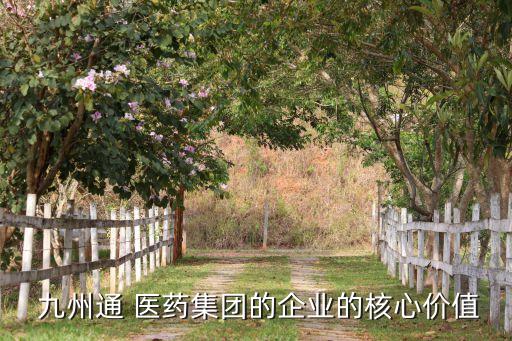  九州通 醫(yī)藥集團(tuán)的企業(yè)的核心價值