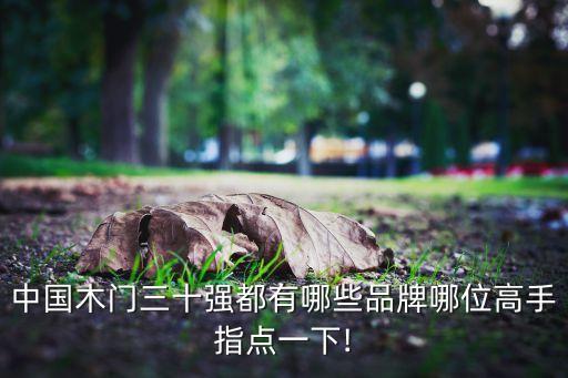中國(guó)木門(mén)三十強(qiáng)都有哪些品牌哪位高手指點(diǎn)一下!