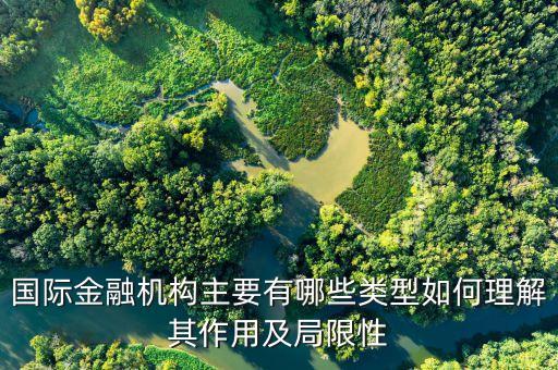 國際金融機構主要有哪些類型如何理解其作用及局限性