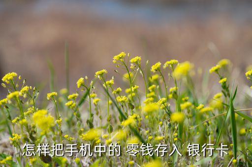 怎樣把手機(jī)中的 零錢(qián)存入 銀行卡