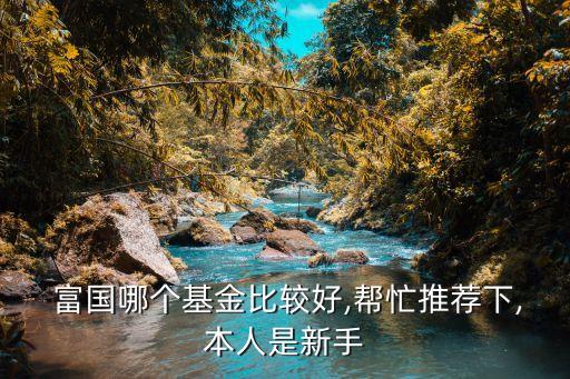 富國低碳環(huán)?；旌闲妥C券投資基金