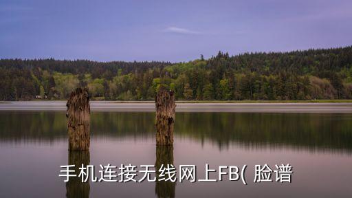 手機連接無線網上FB( 臉譜