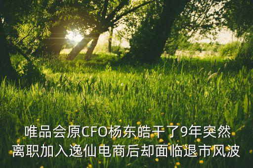 唯品會是誰投資的