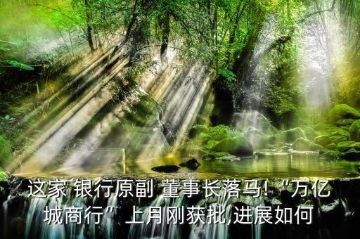 洛陽(yáng)銀行董事長(zhǎng)