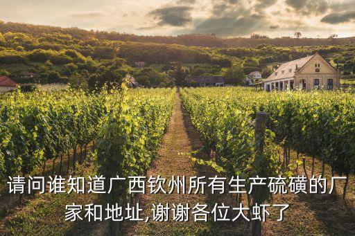 請(qǐng)問誰(shuí)知道廣西欽州所有生產(chǎn)硫磺的廠家和地址,謝謝各位大蝦了
