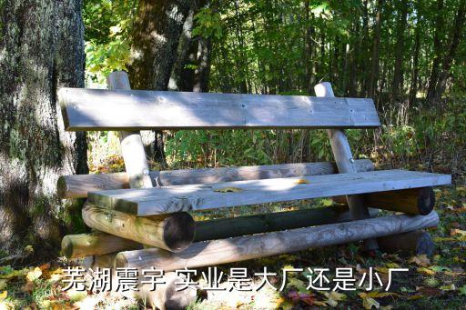  蕪湖震宇 實(shí)業(yè)是大廠還是小廠
