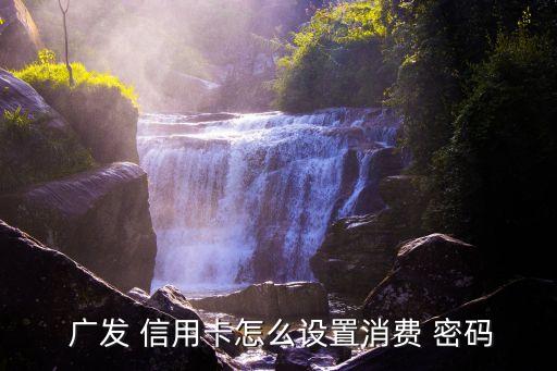  廣發(fā) 信用卡怎么設(shè)置消費 密碼