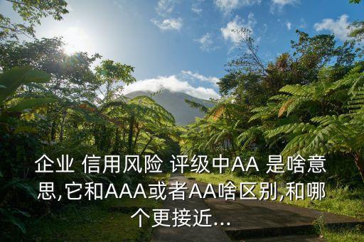企業(yè) 信用風險 評級中AA 是啥意思,它和AAA或者AA啥區(qū)別,和哪個更接近...