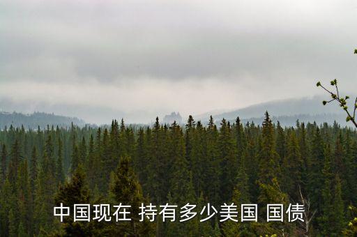中國(guó)持有的外國(guó)國(guó)債