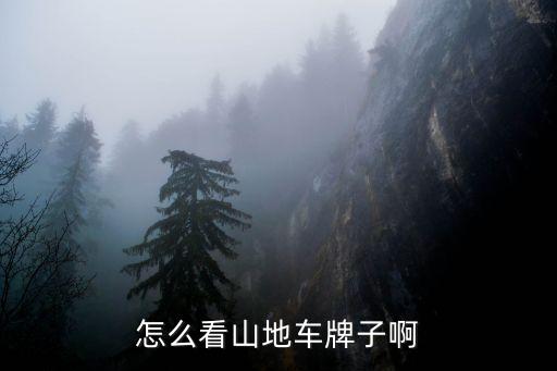 怎么看山地車(chē)牌子啊