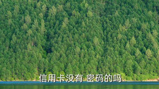  信用卡沒有 密碼的嗎