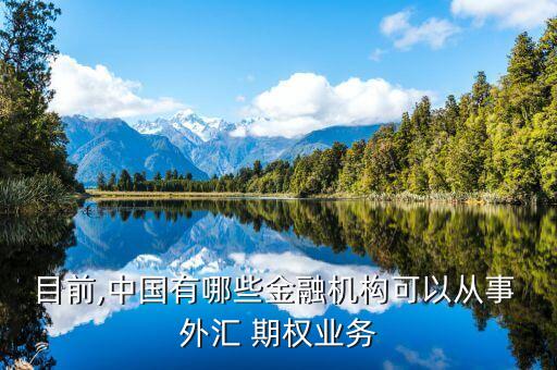 目前,中國有哪些金融機構可以從事 外匯 期權業(yè)務