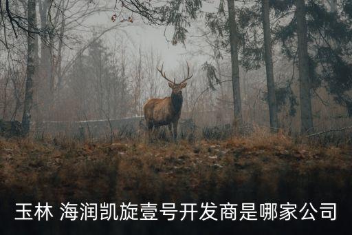 玉林 海潤(rùn)凱旋壹號(hào)開(kāi)發(fā)商是哪家公司