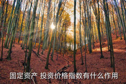  固定資產(chǎn) 投資價格指數(shù)有什么作用