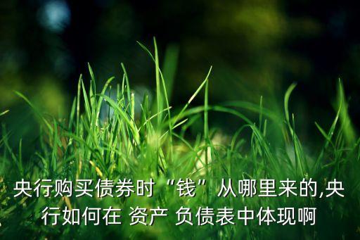中國人民銀行資產(chǎn)負(fù)債表