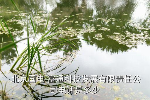  北京國(guó)電 富通科技發(fā)展有限責(zé)任公司電話是多少