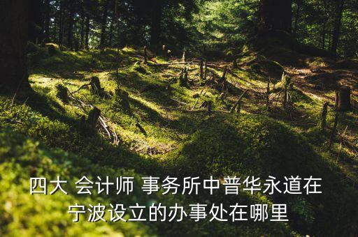 寧波東海會計(jì)師事務(wù)所有限公司,中會華(寧波)會計(jì)師事務(wù)所有限公司