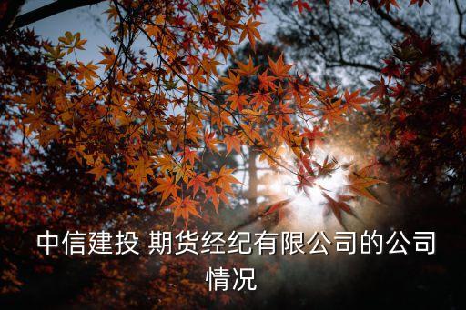  中信建投 期貨經(jīng)紀有限公司的公司情況