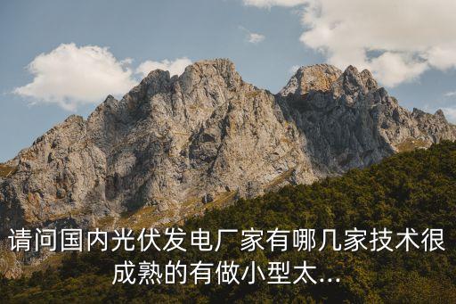 請(qǐng)問國內(nèi)光伏發(fā)電廠家有哪幾家技術(shù)很成熟的有做小型太...