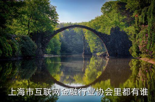  上海市互聯(lián)網金融行業(yè)協(xié)會里都有誰