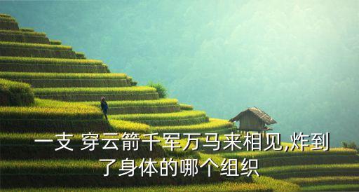  一支 穿云箭千軍萬(wàn)馬來(lái)相見(jiàn),炸到了身體的哪個(gè)組織