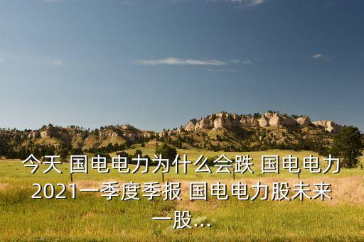 今天 國(guó)電電力為什么會(huì)跌 國(guó)電電力2021一季度季報(bào) 國(guó)電電力股未來(lái)一股...