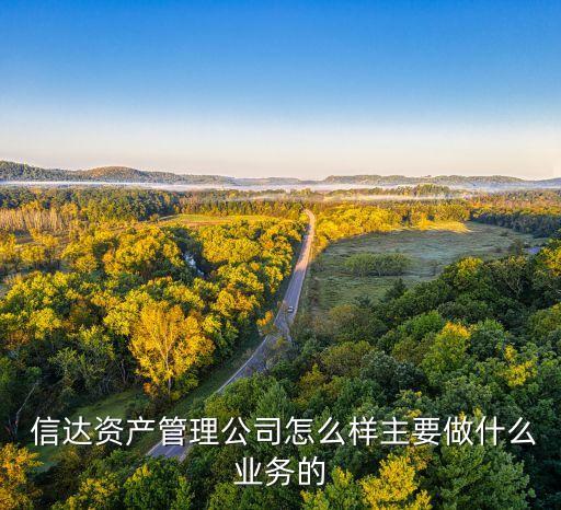 中國信達2013利潤