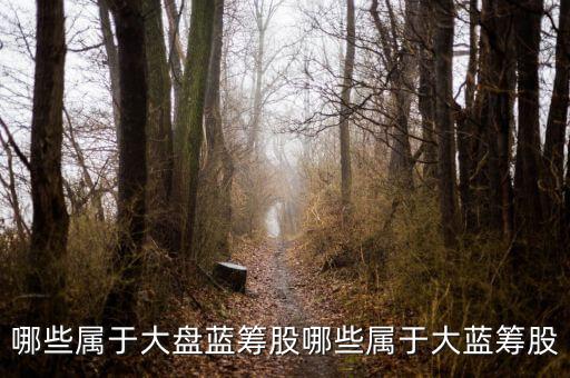 建設銀行優(yōu)先股股息,境內優(yōu)先股股息派發(fā)是什么意思