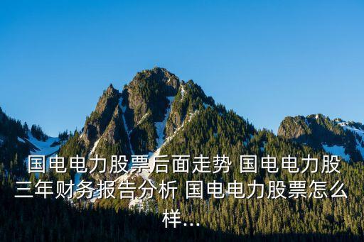中國國電集團風電發(fā)展情況