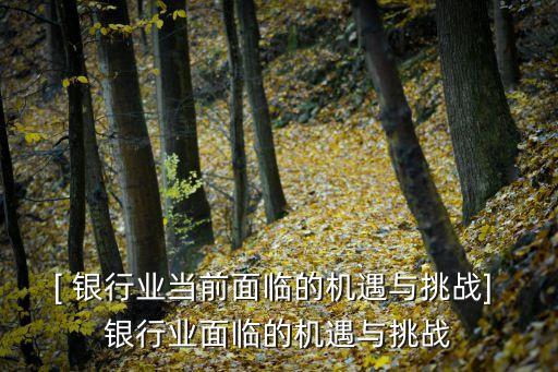 [ 銀行業(yè)當前面臨的機遇與挑戰(zhàn)] 銀行業(yè)面臨的機遇與挑戰(zhàn)