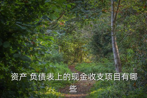  資產(chǎn) 負(fù)債表上的現(xiàn)金收支項(xiàng)目有哪些