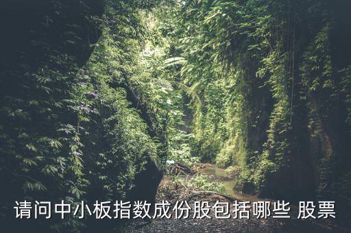 請(qǐng)問中小板指數(shù)成份股包括哪些 股票