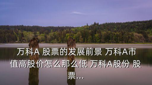 分析萬科股票,萬科股票宏觀經(jīng)濟(jì)分析