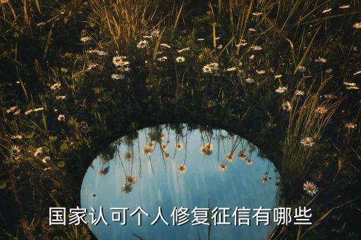 國(guó)家認(rèn)可個(gè)人修復(fù)征信有哪些