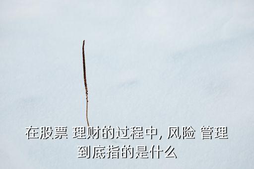 在股票 理財?shù)倪^程中, 風險 管理到底指的是什么