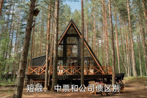 短融、 中票和公司債區(qū)別